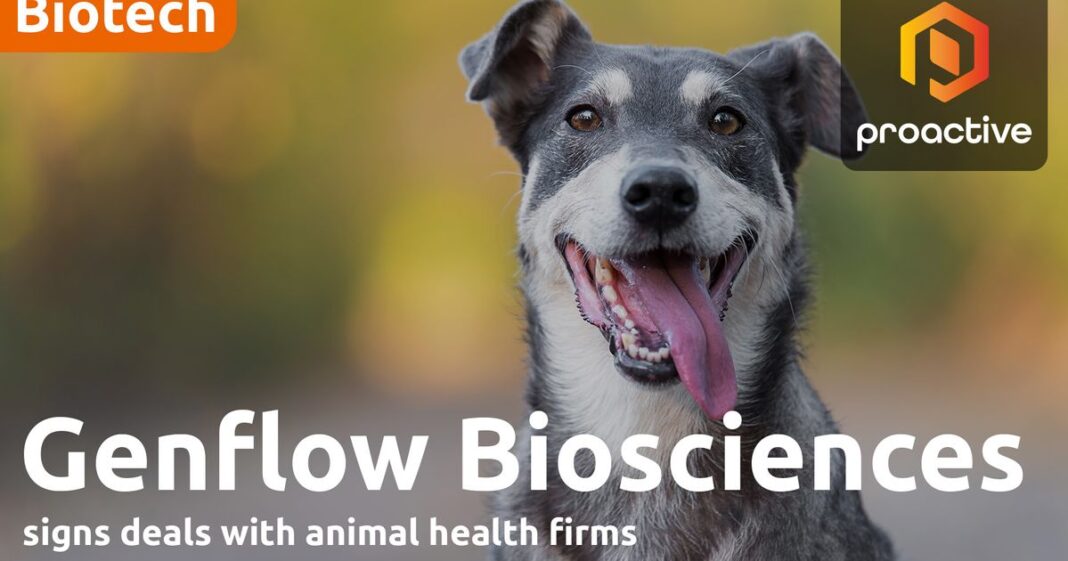 Genflow Biosciences Partners with Animal Health Organizations for Dog Longevity CDAs