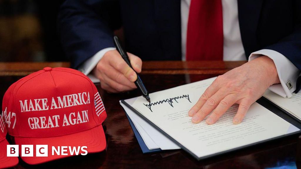 Understanding Tariffs: Their Function and Trump's Implementation Understanding Tariffs: Their Function and Trump's Implementation