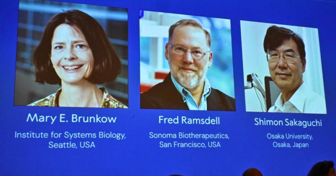 International: Nobel Prize in Medicine Awarded to Immunologists from Japan and the USA