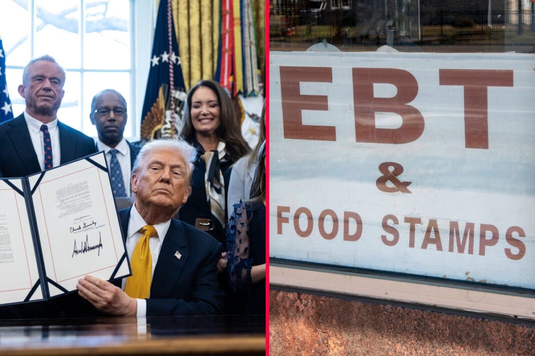 Trump’s Assault on Minnesota Food Stamps Falters as Stephen Miller Clashes with Judge