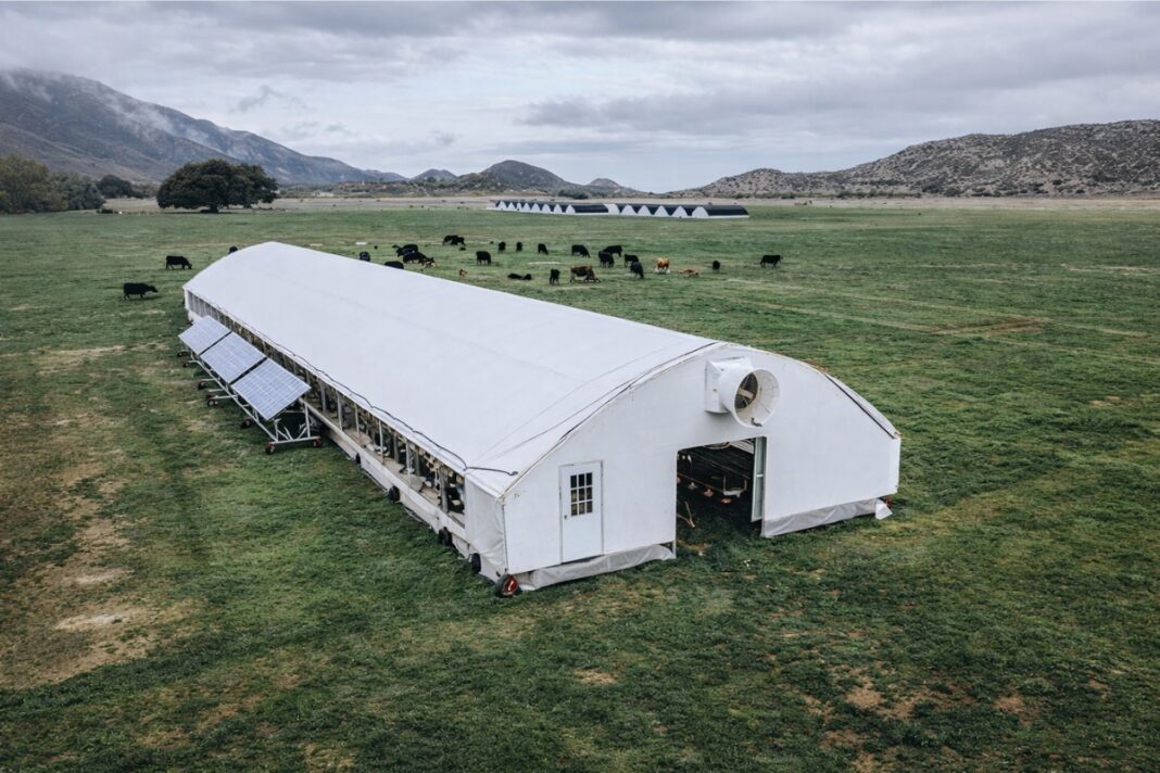 American Poultry Producer Introduces Groundbreaking Solar-Powered Mobile Greenhouse Shed, Raising 6,000 Chickens on Pasture and Restoring Land in Just 6 Minutes